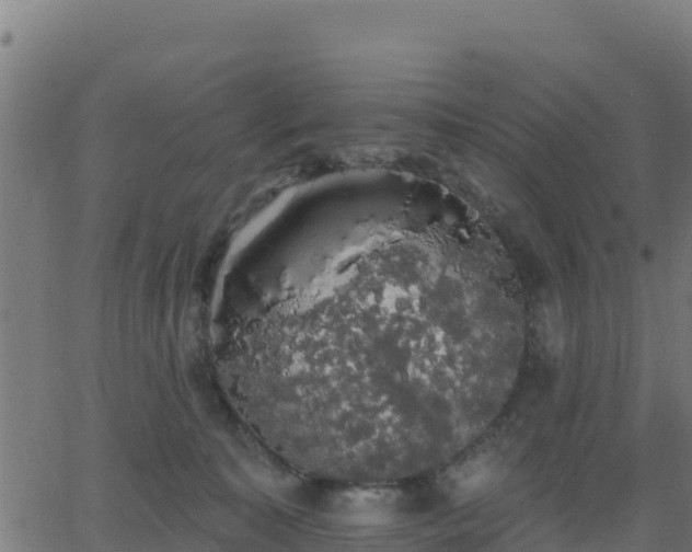 X0000062840323200601201644