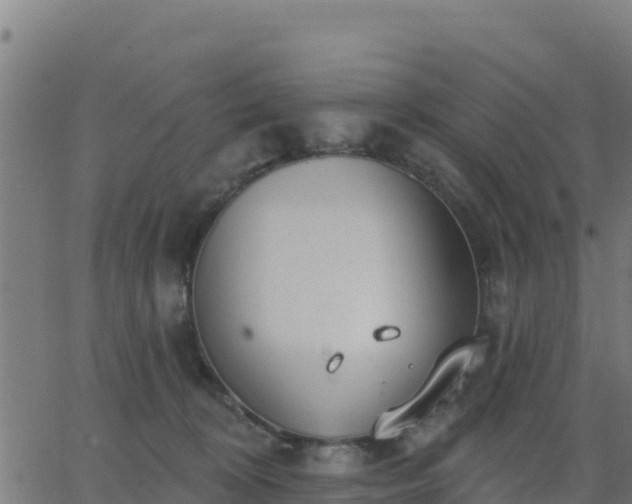 X0000062840324200601201644