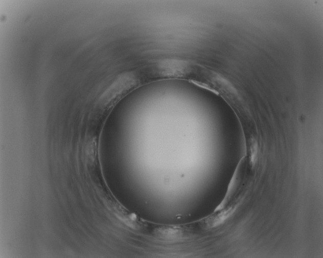 X0000062840325200601201644