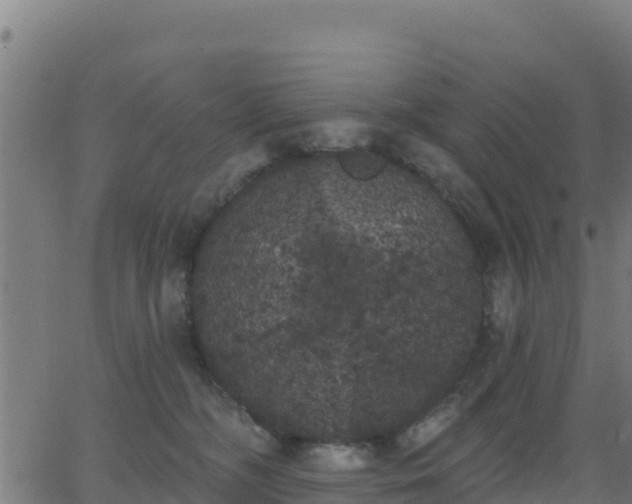 X0000062840326200601201644