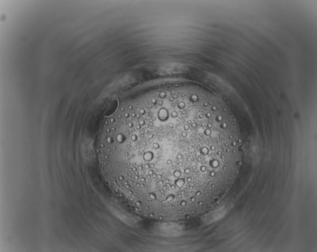 X0000062840327200601201644