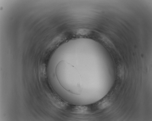 X0000062840328200601201644