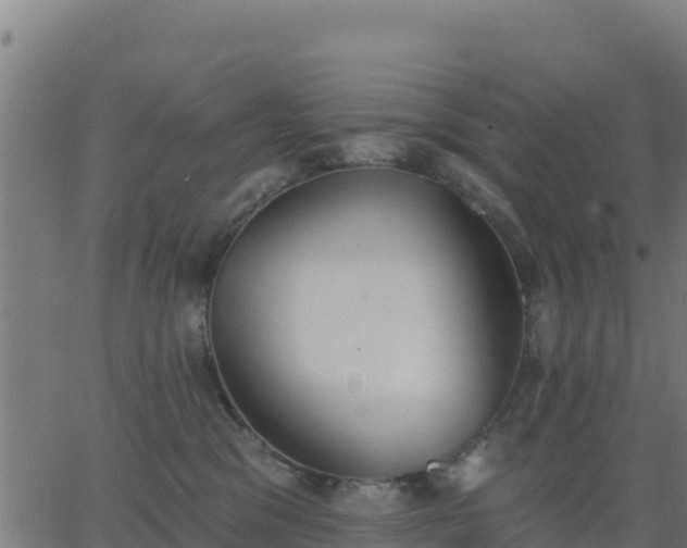 X0000062840329200601201644