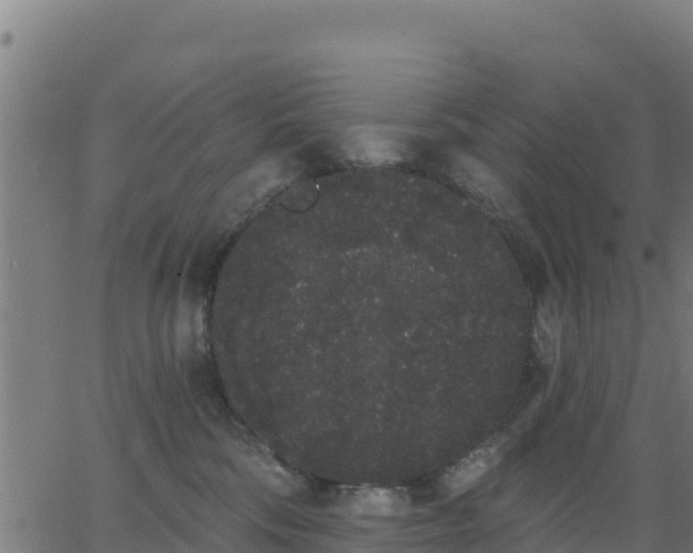 X0000062840330200601201644