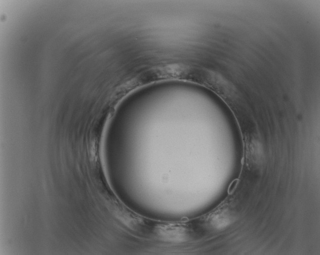 X0000062840331200601201644