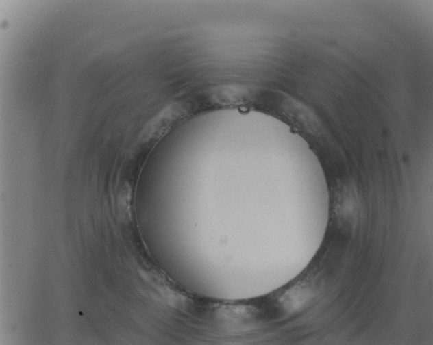 X0000062840332200601201644