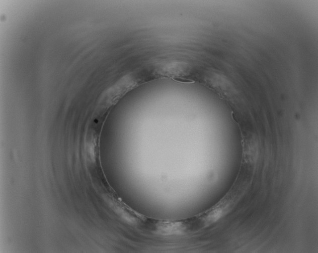 X0000062840334200601201644