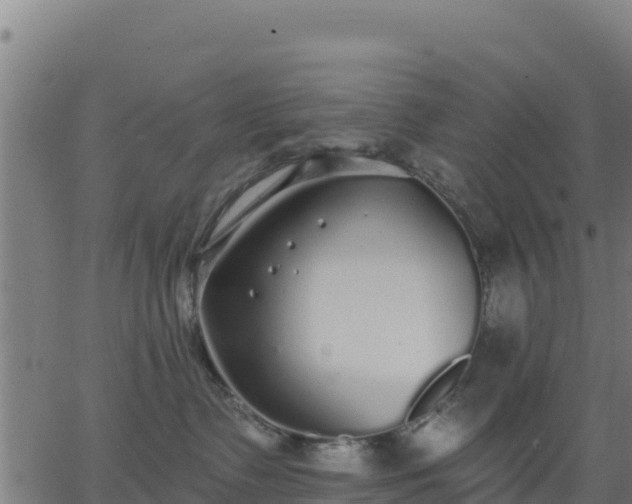 X0000062840335200601201644