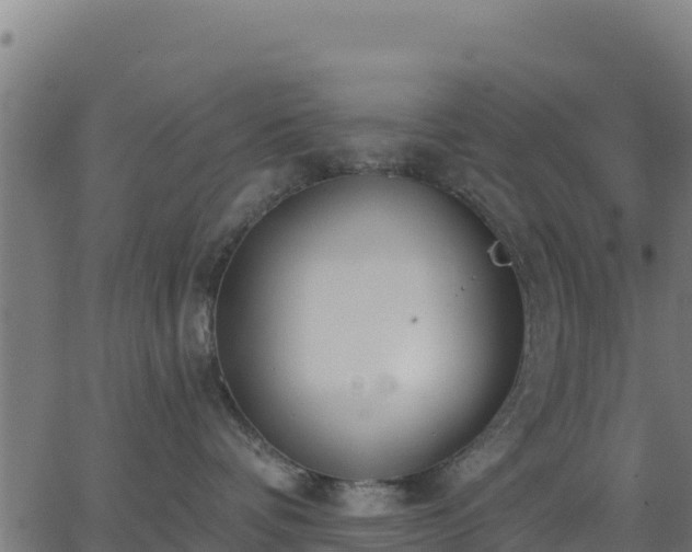 X0000062840336200601201644