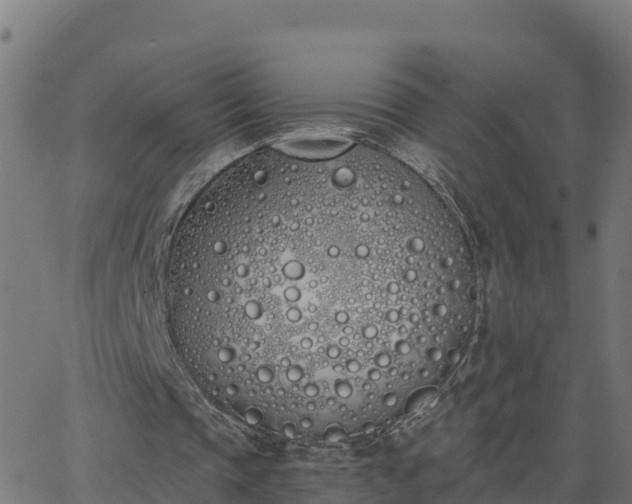 X0000062840337200601201643