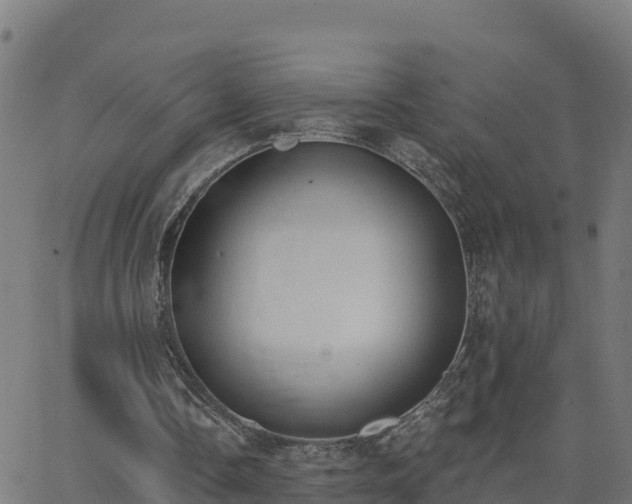 X0000062840338200601201643