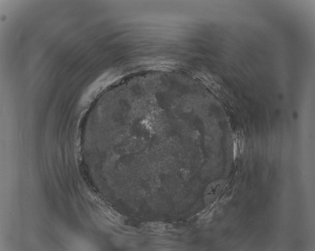 X0000062840339200601201643