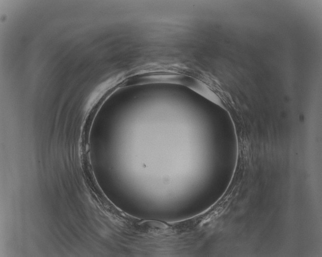 X0000062840340200601201643