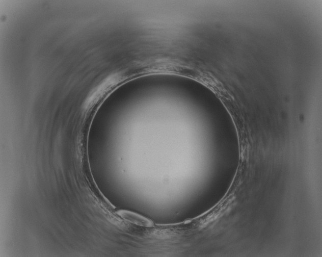 X0000062840341200601201643