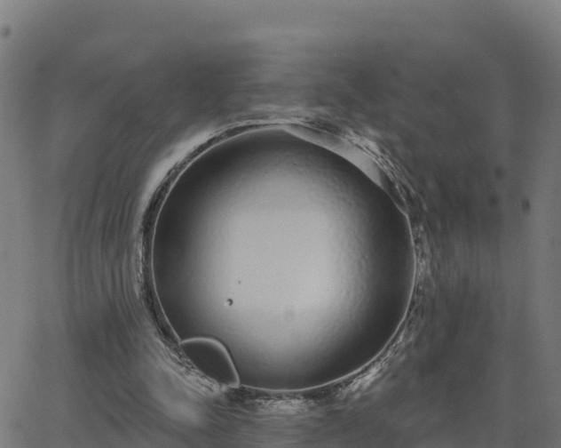 X0000062840342200601201643