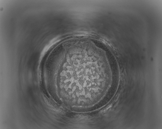 X0000062840343200601201643