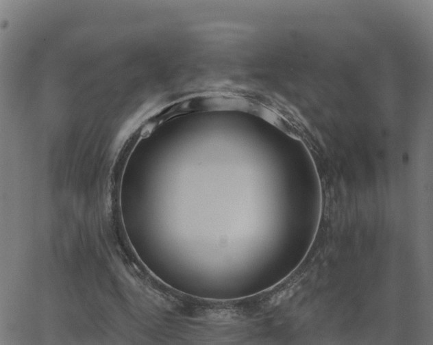 X0000062840344200601201643