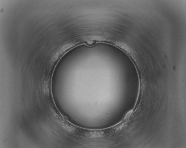 X0000062840345200601201644