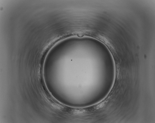 X0000062840346200601201644