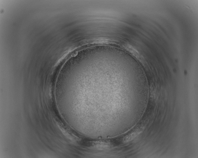 X0000062840347200601201644