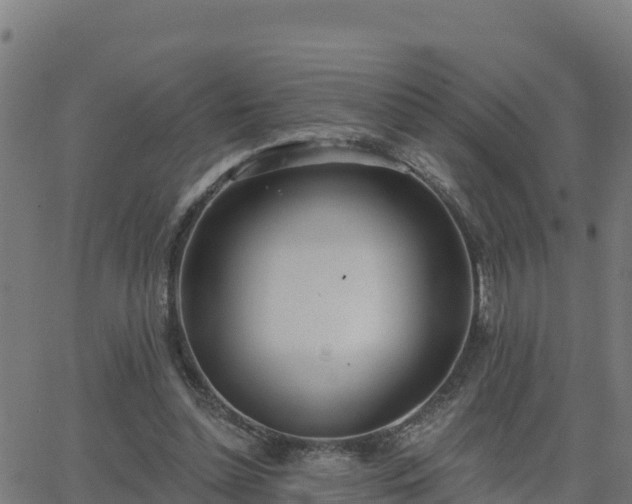 X0000062840348200601201644