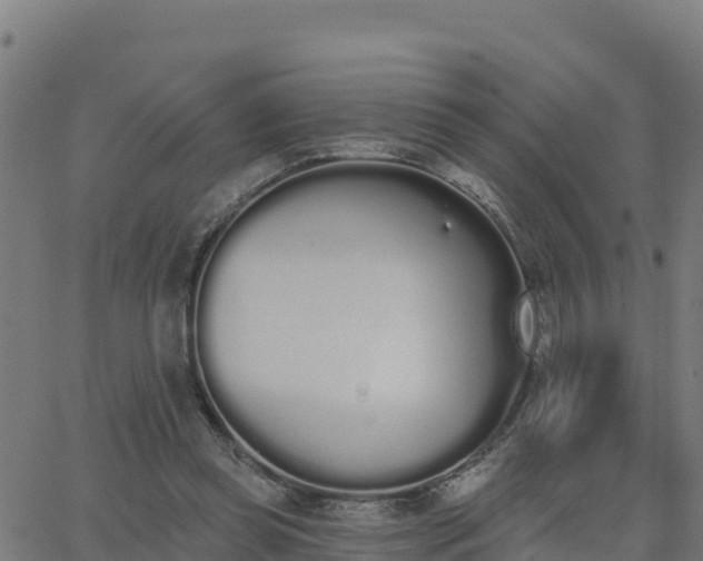 X0000062840349200601201644