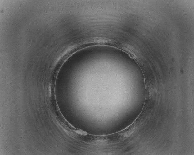 X0000062840350200601201644