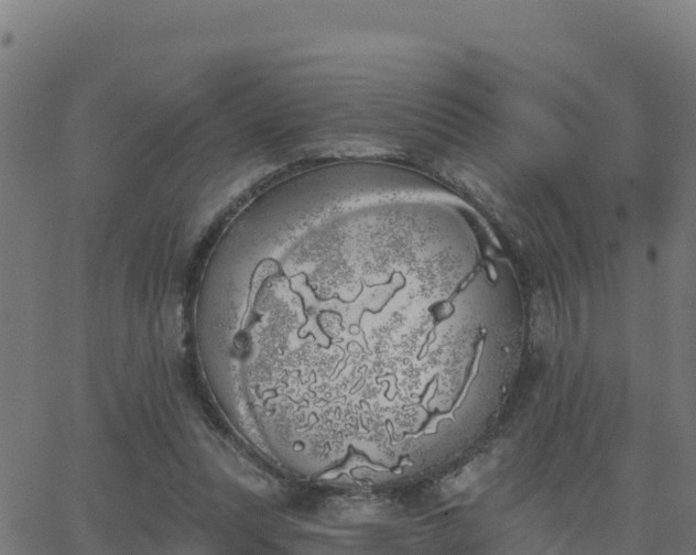 X0000062840351200601201644