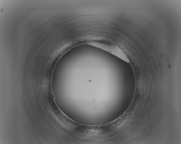 X0000062840352200601201644