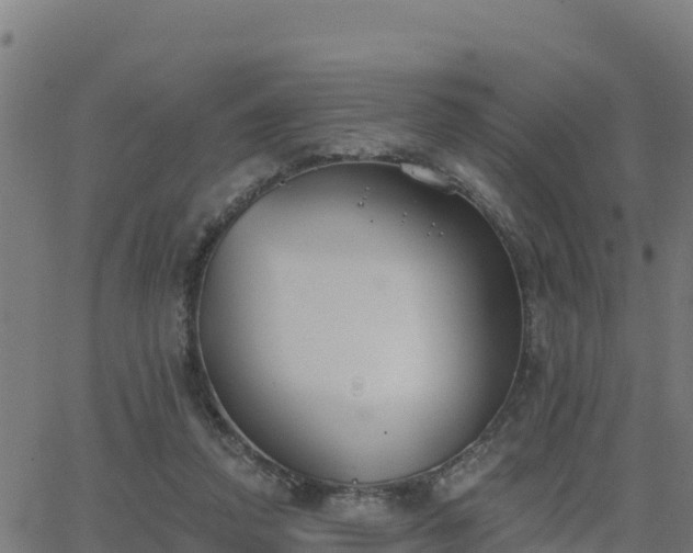 X0000062840354200601201644