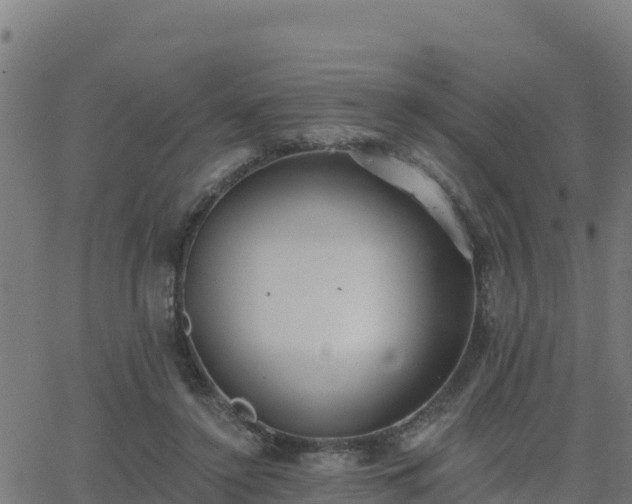 X0000062840356200601201644