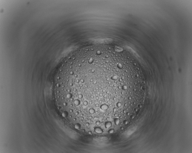 X0000062840357200601201644