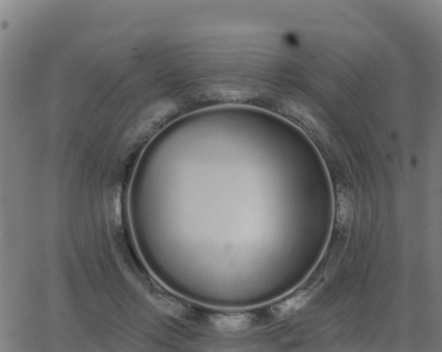 X0000062840358200601201644