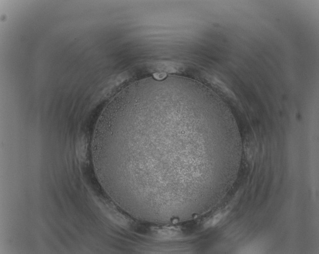 X0000062840359200601201644