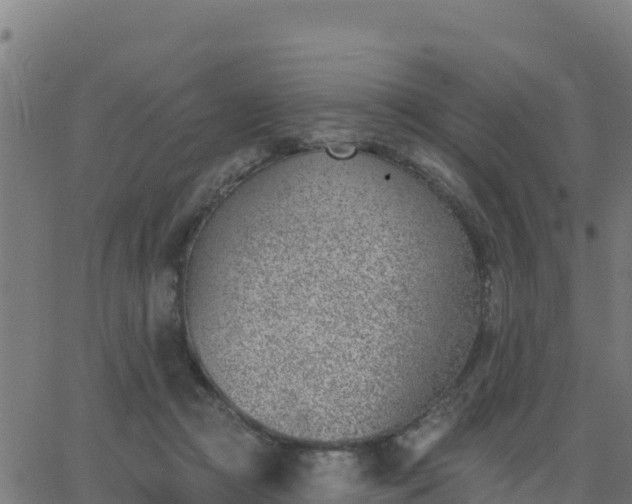 X0000062840361200601201644