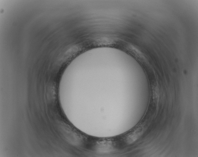 X0000062840362200601201644