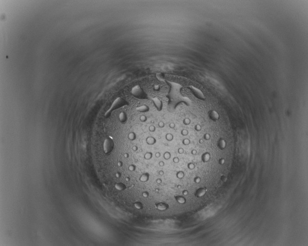 X0000062840363200601201644