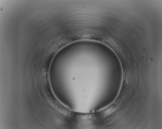 X0000062840366200601201644