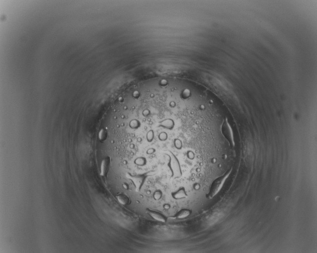 X0000062840367200601201644