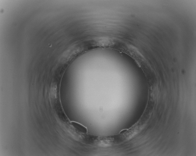 X0000062840368200601201644