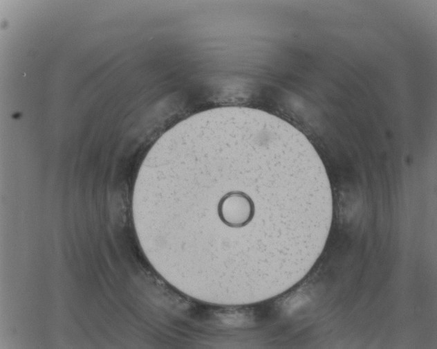 X0000062840370200601201644