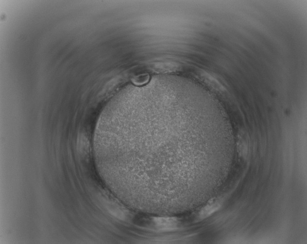 X0000062840371200601201644