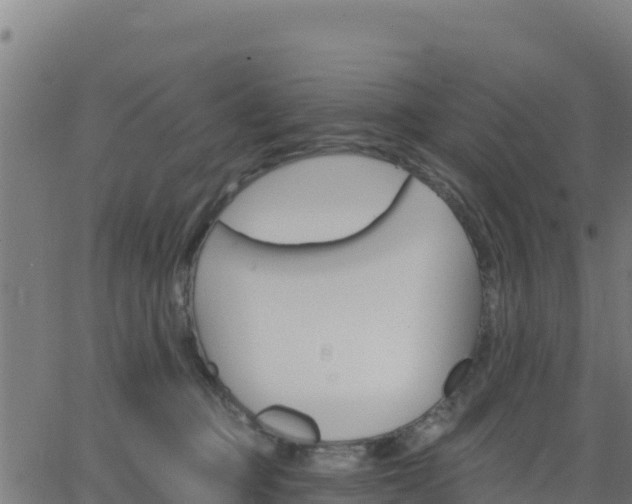 X0000062840373200601201644