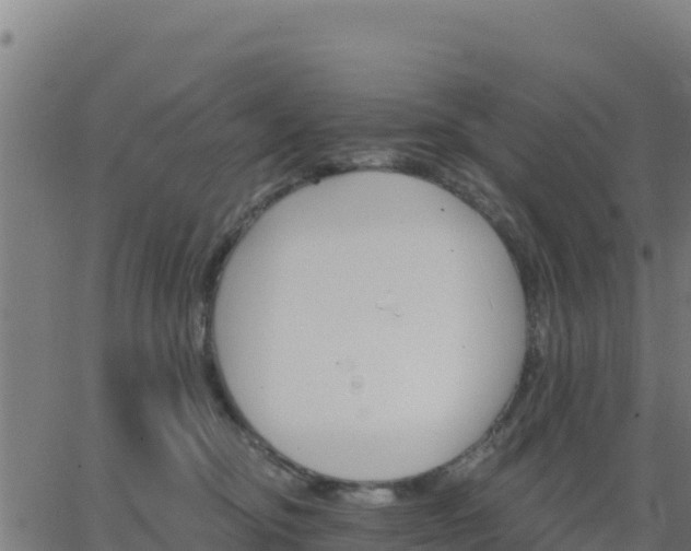 X0000062840374200601201644