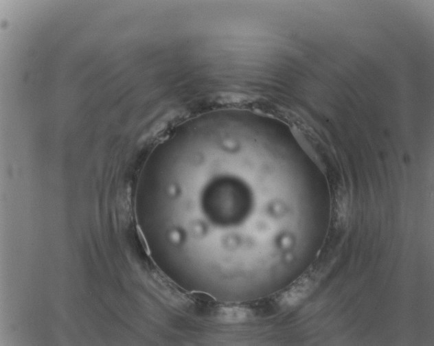 X0000062840376200601201644