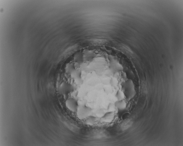 X0000062840377200601201644