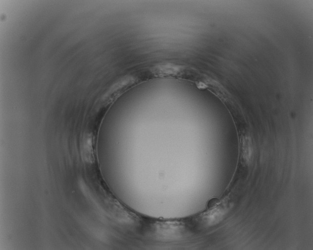 X0000062840378200601201644