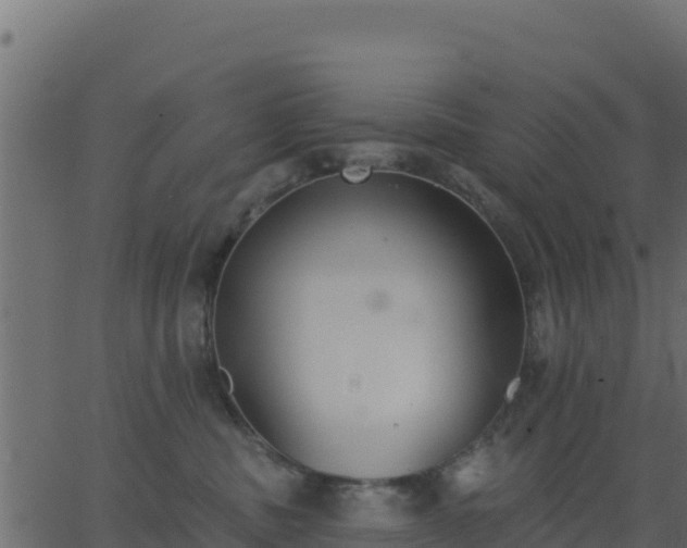 X0000062840379200601201644