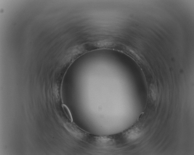 X0000062840380200601201644