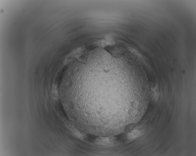 X0000062840381200601201644